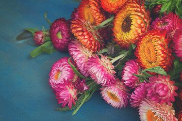 Similar image 11899766