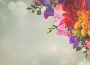 Similar image 11899767