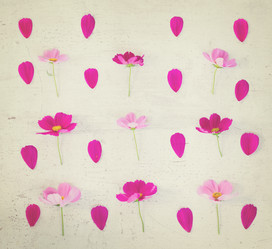 Similar image 11894784