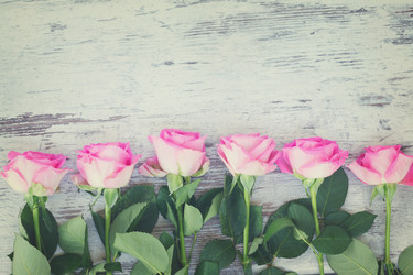 Similar image 11894785