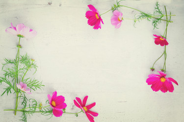 Similar image 11900022