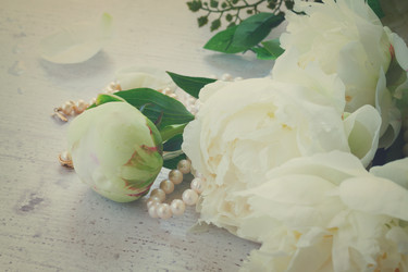 Similar image 11898328