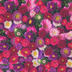 Similar image 11899942