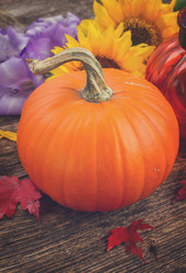 Similar image 11894898