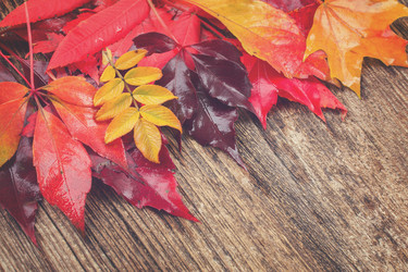 Similar image 11898155