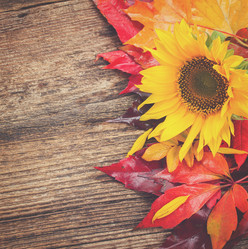 Similar image 11898156