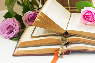 Similar image 11898264