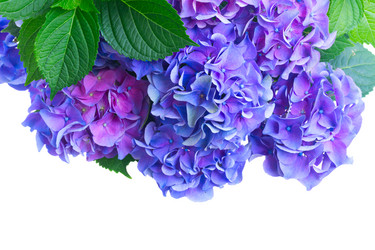 Similar image 11900062