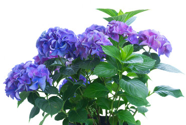 Similar image 11900063