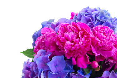 Similar image 11894853