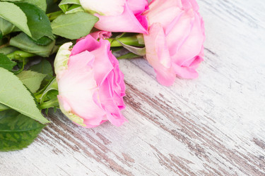 Similar image 11898287