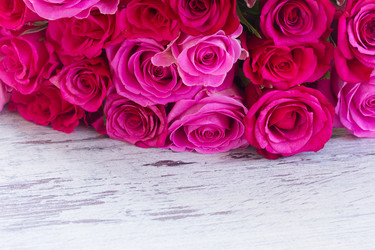 Similar image 11899254