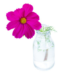 Similar image 11899528