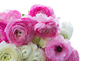 Similar image 11899769