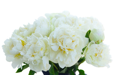 Similar image 11899787