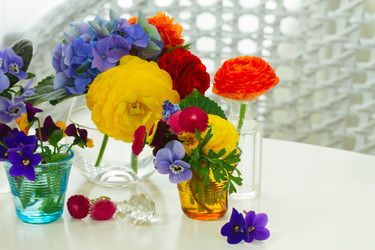 Similar image 11900257