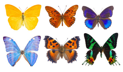 Similar image 11894717