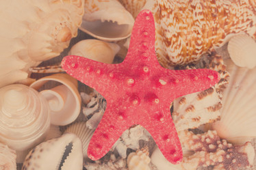 Similar image 11899634