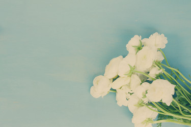 Similar image 11894827