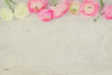 Similar image 11894852