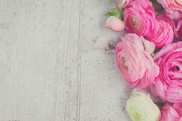 Similar image 11894854