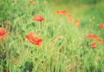 Similar image 11894855