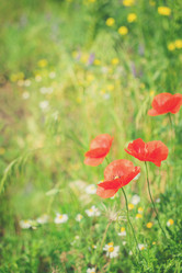 Similar image 11894900