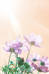 Similar image 11894916