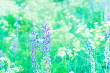 Similar image 11898189