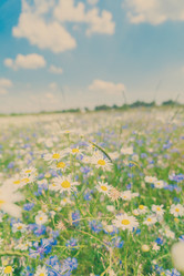 Similar image 11898191