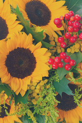 Similar image 11898249