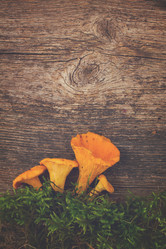 Similar image 11898250