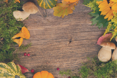 Similar image 11898291