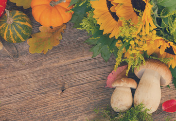 Similar image 11898311