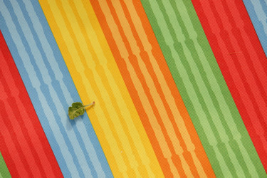 Similar image 11888493