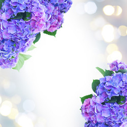 Similar image 11898333