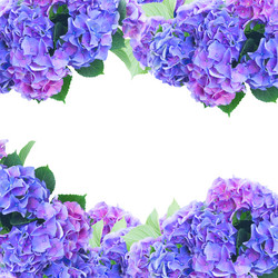 Similar image 11898334