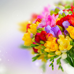 Similar image 11900287