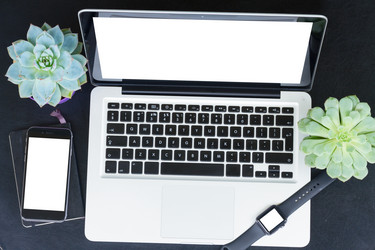 Similar image 11900027