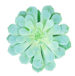 Similar image 11894747