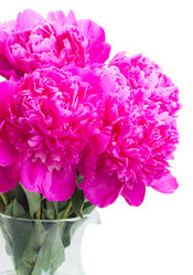 Similar image 11894904