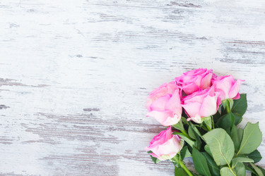 Similar image 11894919