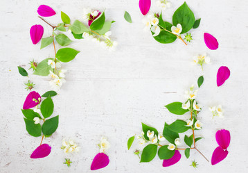 Similar image 11898216