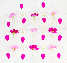 Similar image 11898217