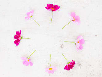 Similar image 11898251