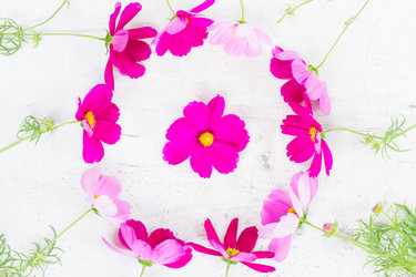 Similar image 11898252