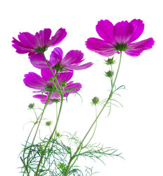 Similar image 11898268