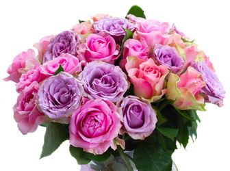 Similar image 11900099