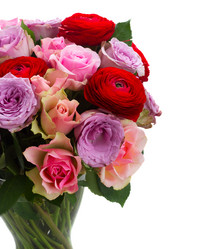 Similar image 11900100