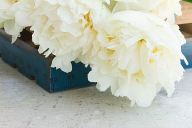 Similar image 11898337